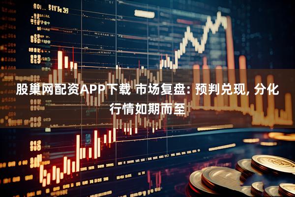 股巢网配资APP下载 市场复盘: 预判兑现, 分化行情如期而至